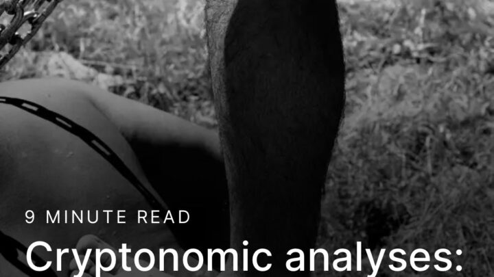 “Cryptonomic analyses: On a sex worker-therapist collaboration,” Division Review